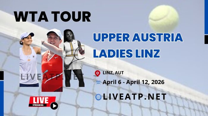 Linz Open Live Stream